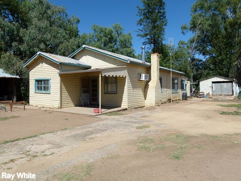 144 Salisbury Road, FORBES, NSW 2871
