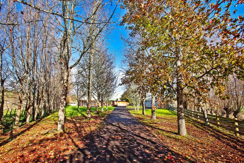 210 Postman Road, Dairy Flat, Rodney