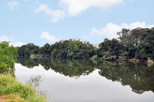 1190 Limeburners Creek Road, Clarence Town, NSW 2321