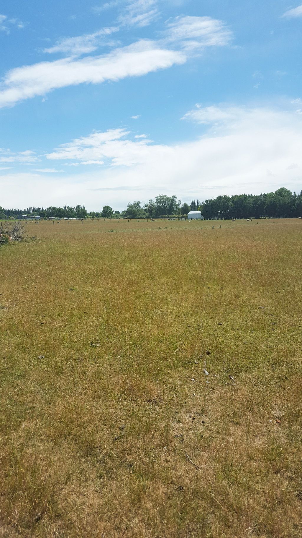 Lot 2 Hollands Road, Ashburton, Ashburton District
