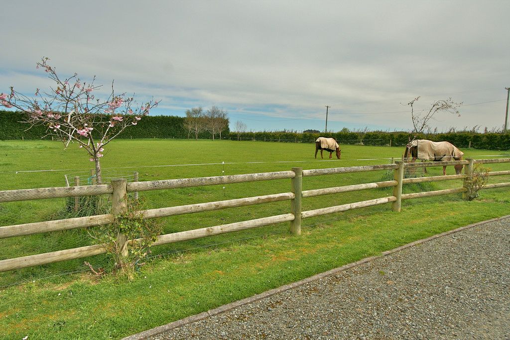 118 Myross Road, Myross Bush, Invercargill
