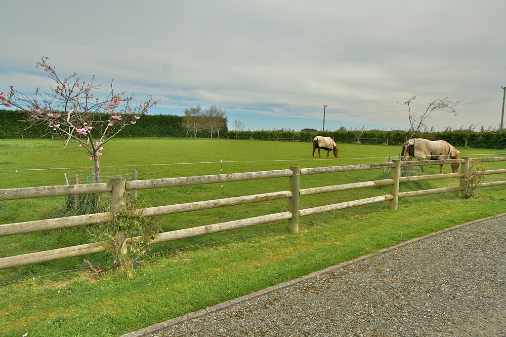 118 Myross Road, Myross Bush, Invercargill