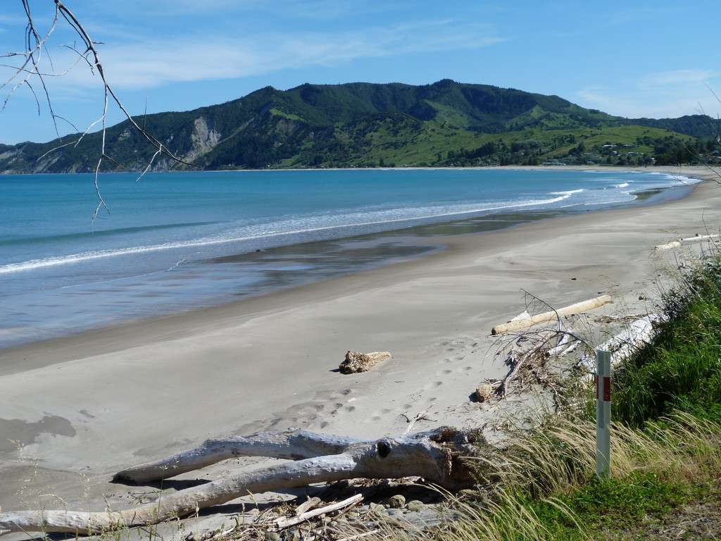 115 Beach Road, Tokomaru Bay, Gisborne District | Real Estate | Ray ...