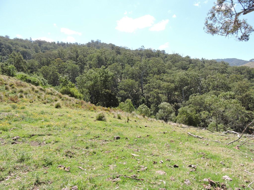 Singleton, NSW 2330