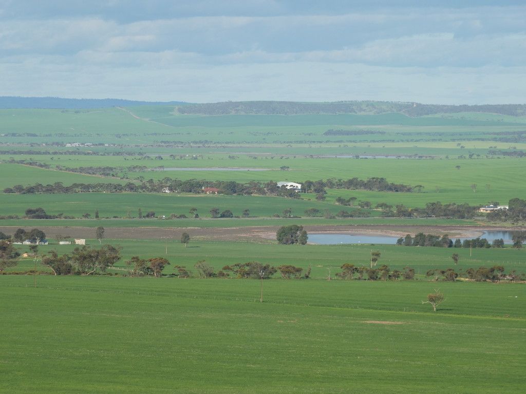 53 Moulds Road, Lochiel, SA 5510