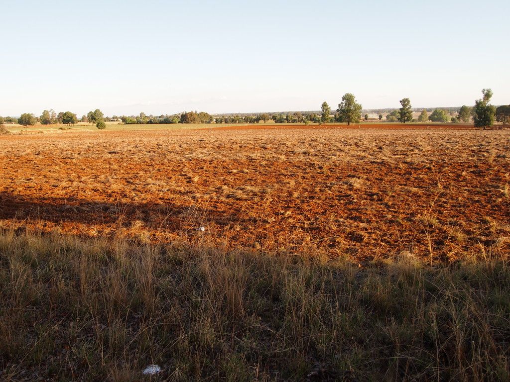 Iona 1a Welcome Road, Parkes, NSW 2870