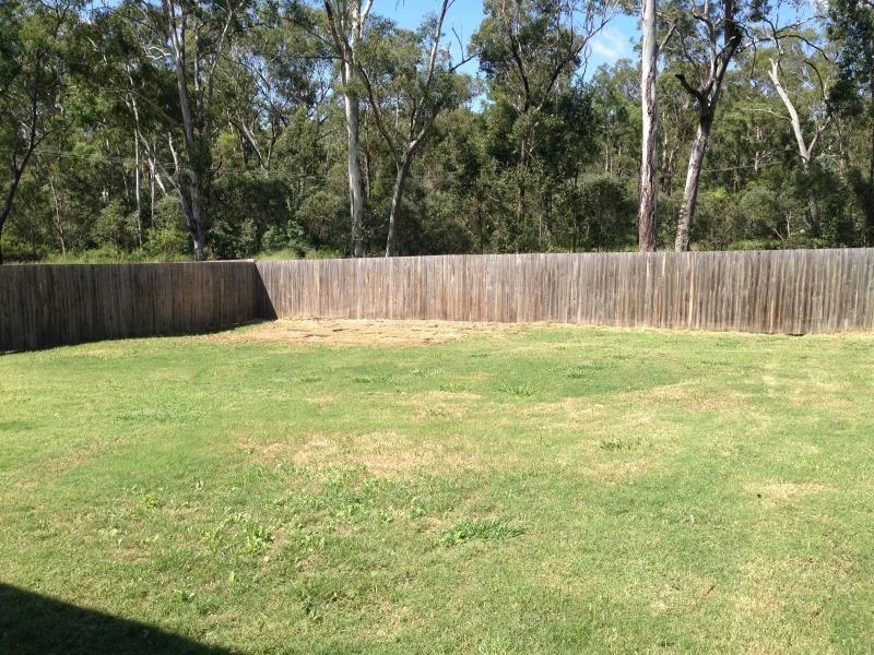 43 Oliver Drive, Redbank Plains, QLD 4301