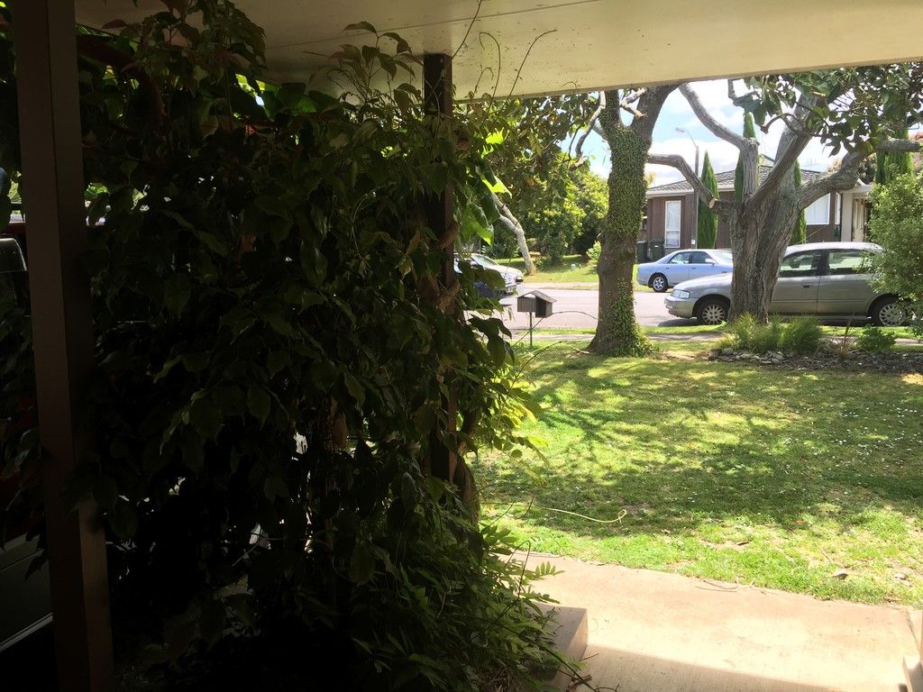 6 Trust Place, Sunnyhills, Manukau City