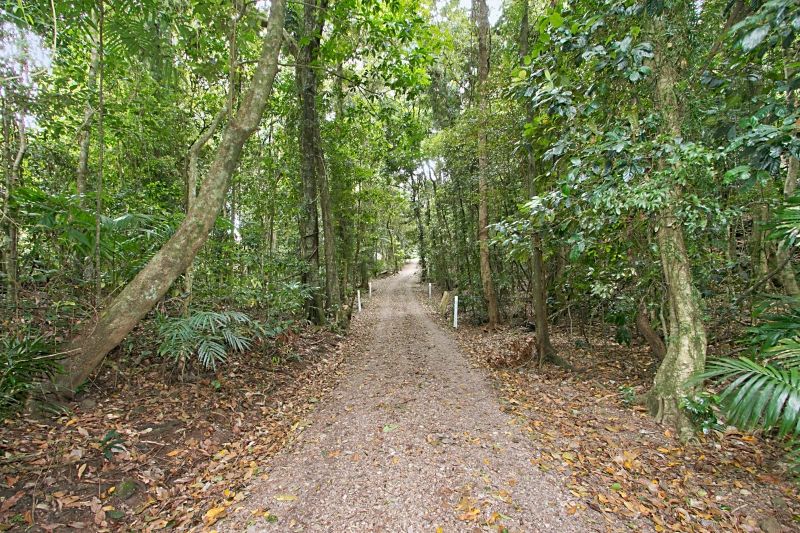 3362 Nerang Murwillumbah Road, Natural Bridge, QLD 4211