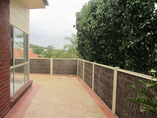 1/3 Maynet Place, Albury, NSW 2640