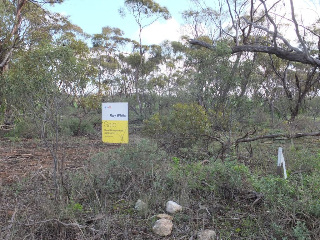 Lots 3, 4 and 36 First Street, MELTON, SA 5552