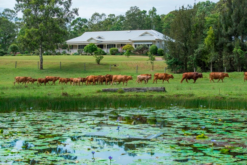 885 Browns Creek Road, Eerwah Vale, QLD 4562