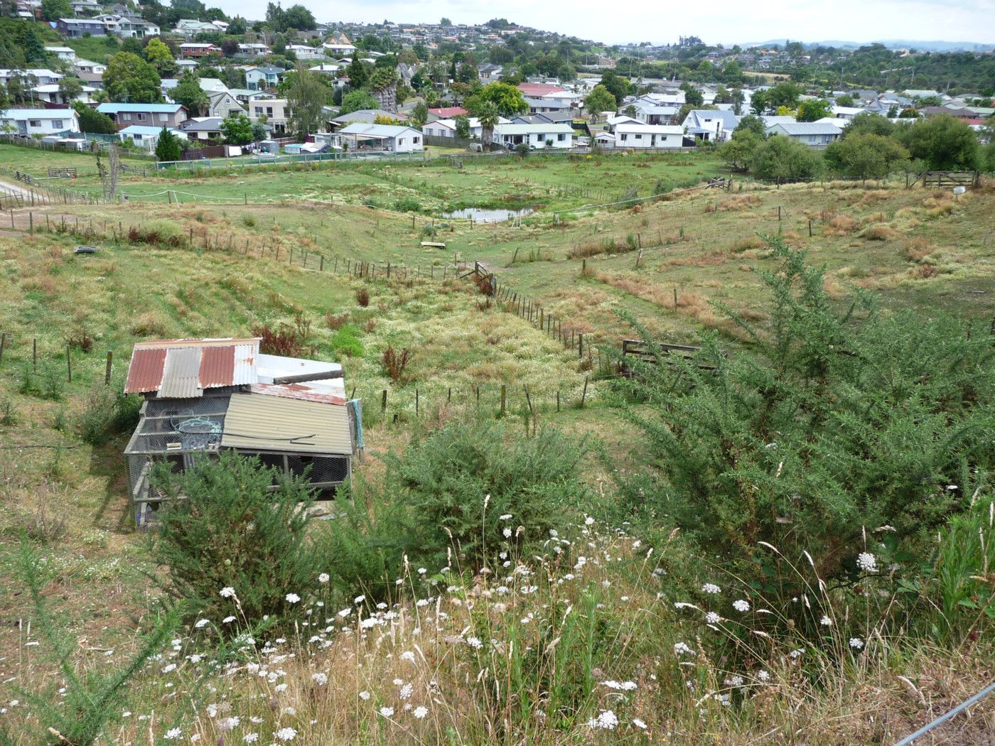 57 Jonathon Street, Tauranga, Tauranga City