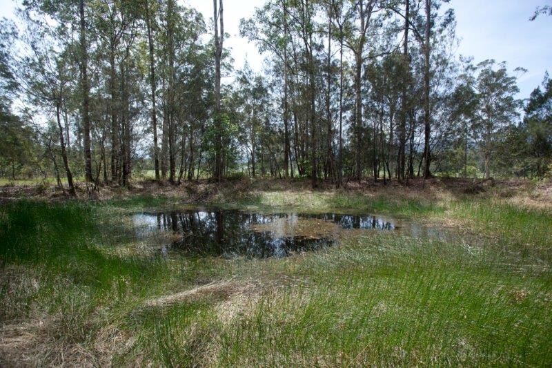 581 Upper Lansdowne Road, Taree, NSW 2430