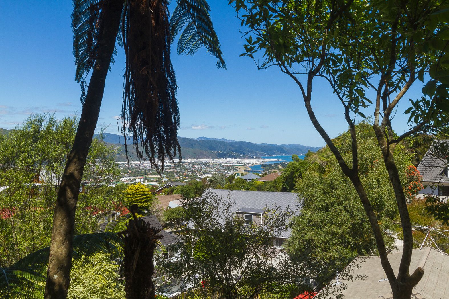 55 Viewmont Drive, Harbour View, Lower Hutt City