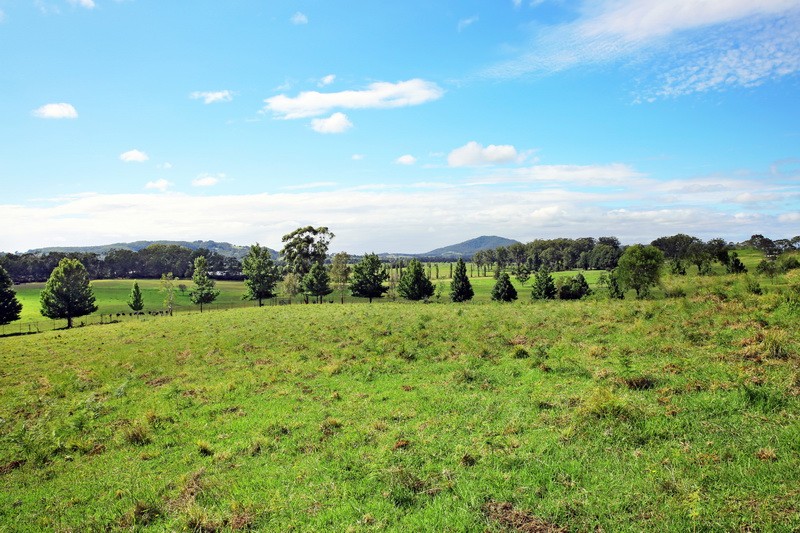 Lot 317 Huntingdale Park Estate, Berry, NSW 2535