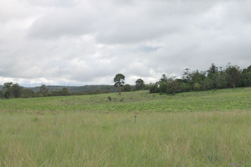 Oakey-Cooyar Road, Cooyar, QLD 4402