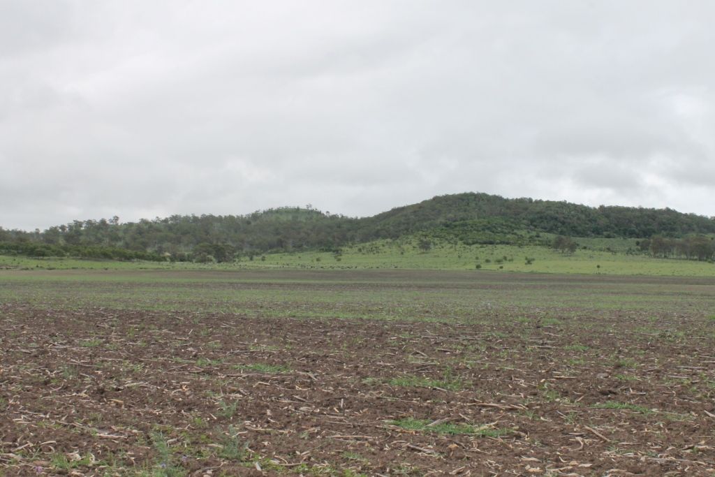 Oakey-Cooyar Road, Cooyar, QLD 4402