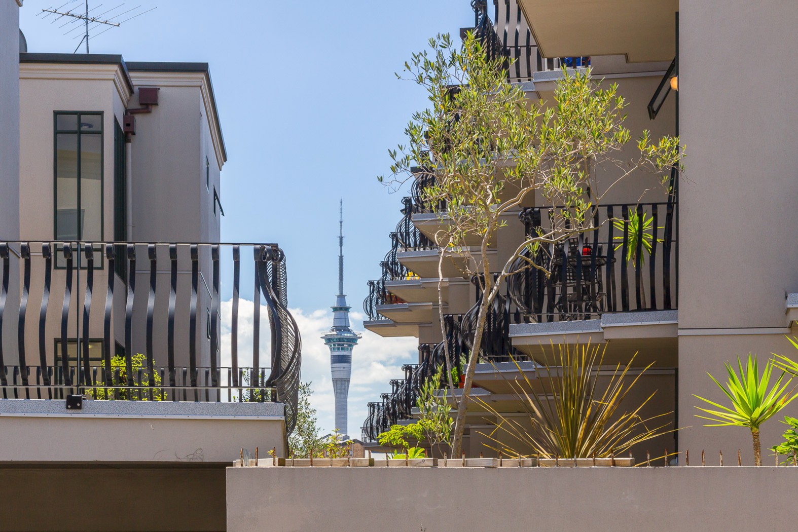 2A/30 Randolph Street, Eden Terrace, Auckland City