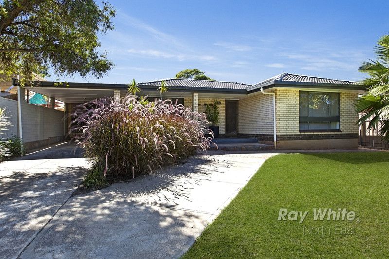 55 Pegasi Avenue, Hope Valley SA 5090
