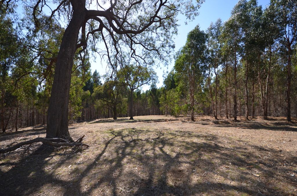 Lexton, VIC 3352