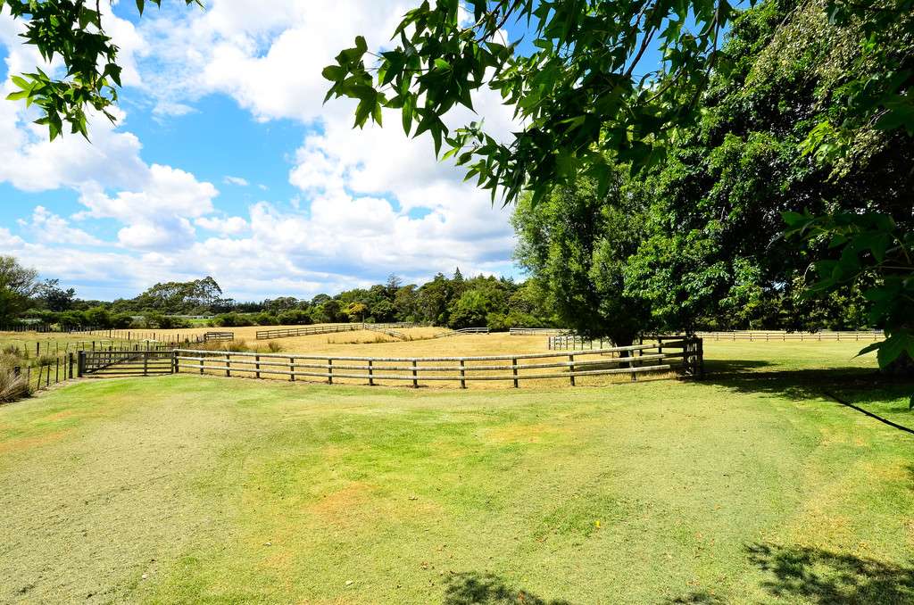 214 Boord Crescent photo 9
