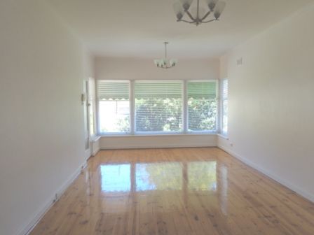 16 White Street, Henley Beach, SA 5022