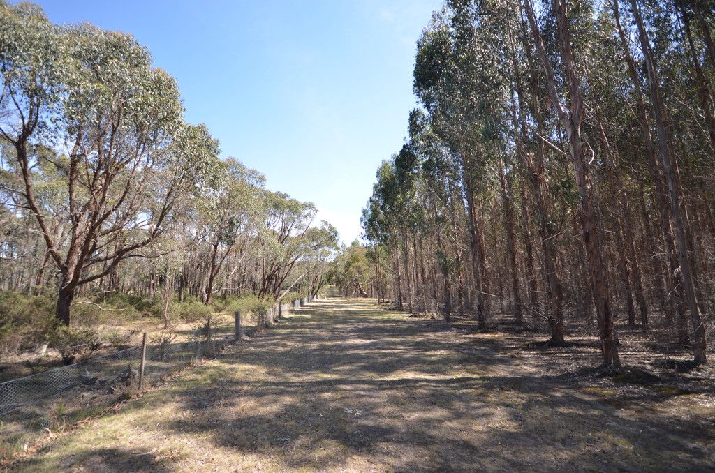 Lexton, VIC 3352