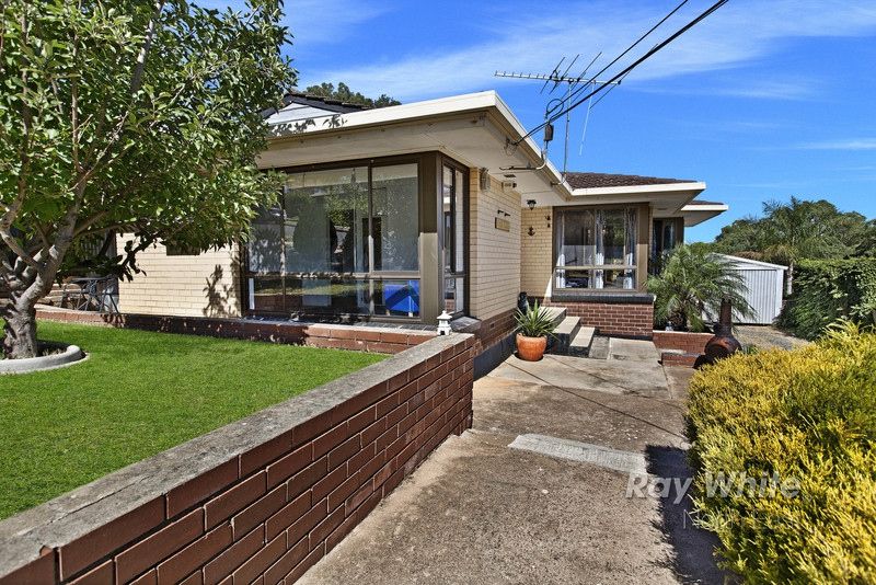 43 Cornell Avenue, Valley View SA 5093