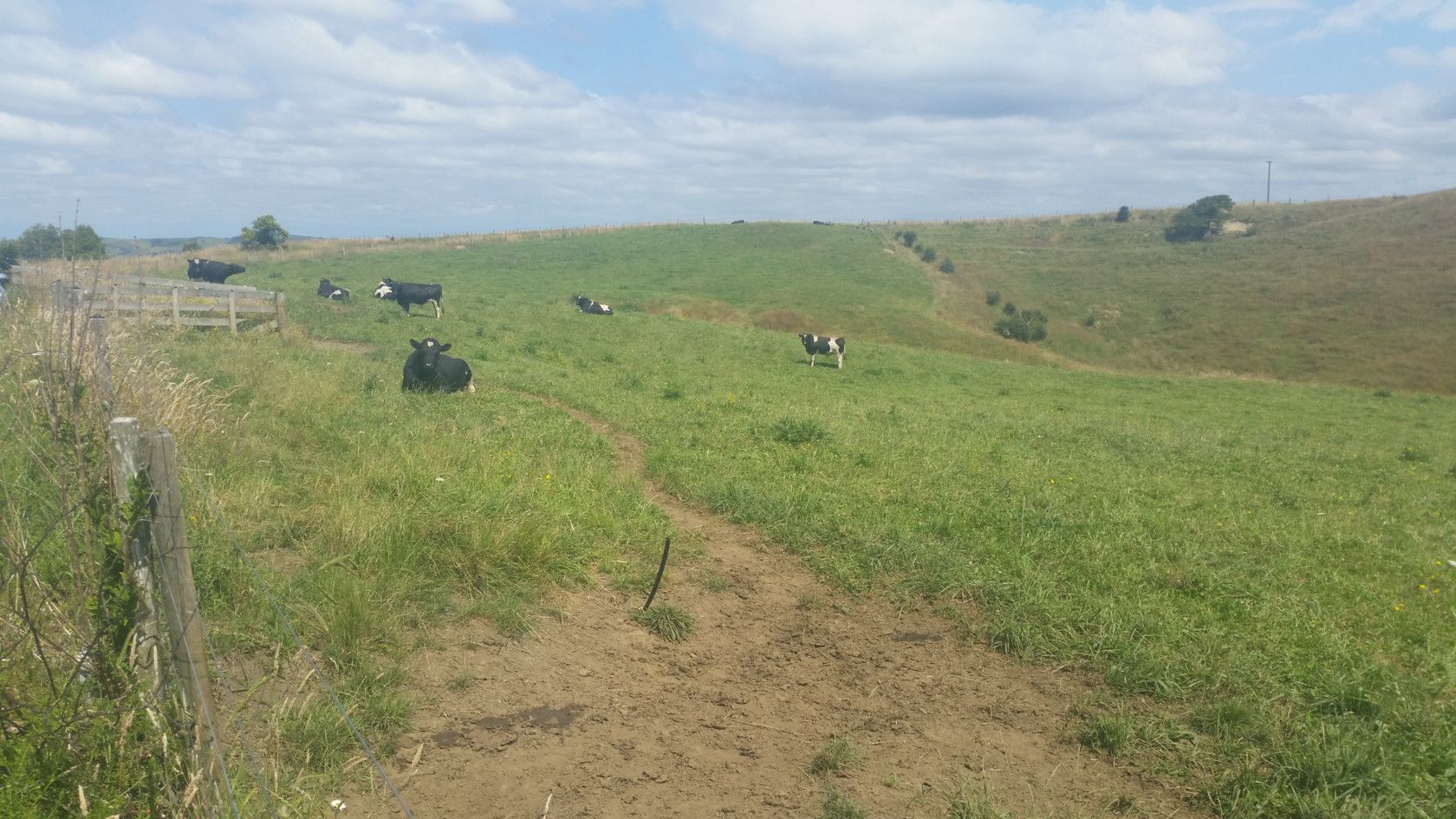 127 Chapman Road, Pukekawa, Waikato District