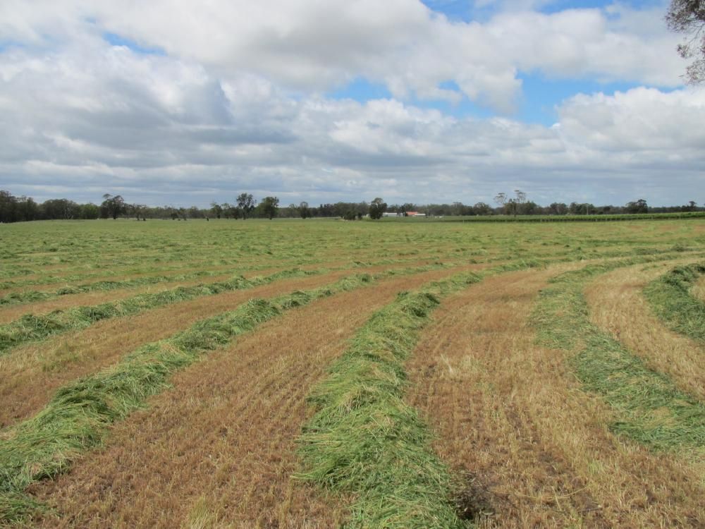 50 The Mile Lane, Mundulla, SA 5270