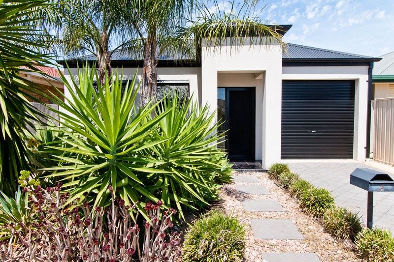 6 Winser Avenue, Seaton, SA 5023