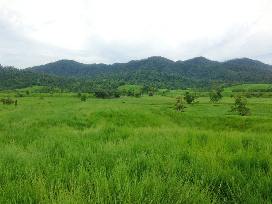 Mena Creek, QLD 4871
