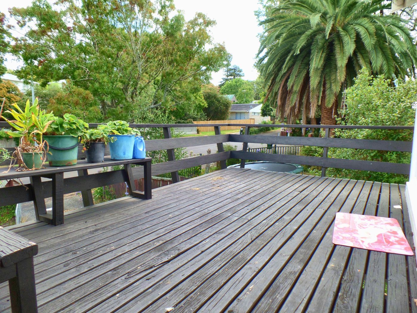 5 Anson Place, St Johns, Auckland City