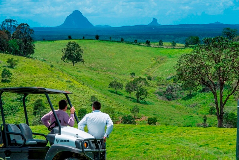 447 Newman Lane, Delaneys Creek, QLD 4514