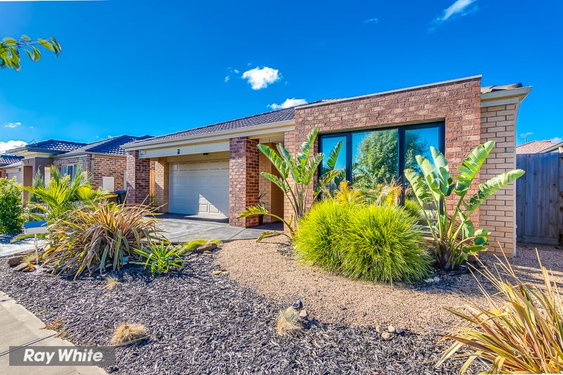 6 Brimstone Drive, Tarneit, VIC 3029