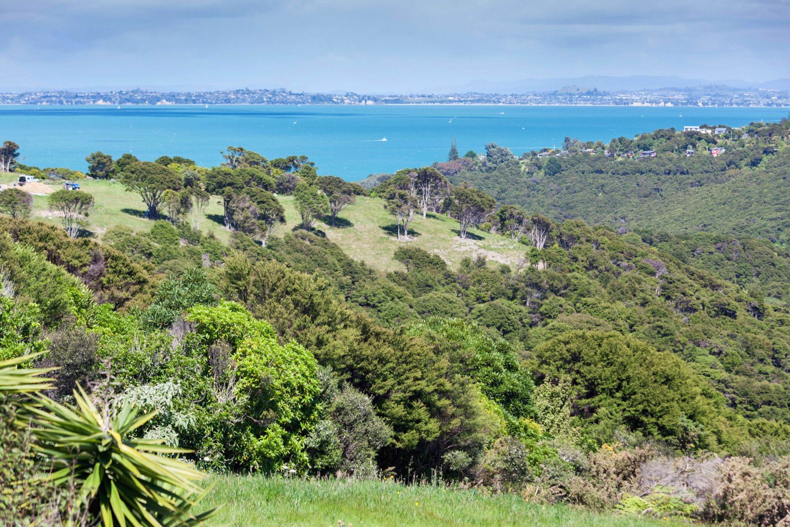 11 Musson Drive, Waiheke Island, Waiheke Island