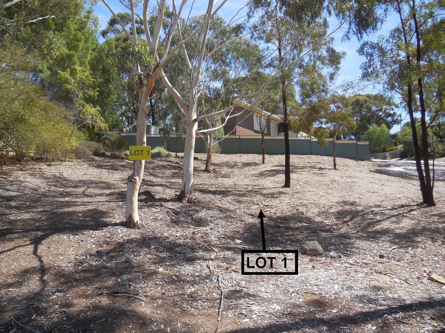 Lot 4, 138 Broadmeadow Drive, Flagstaff Hill, SA 5159