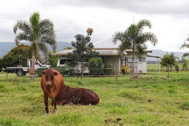106 Cantamessas Road, ABERGOWRIE QLD 4850