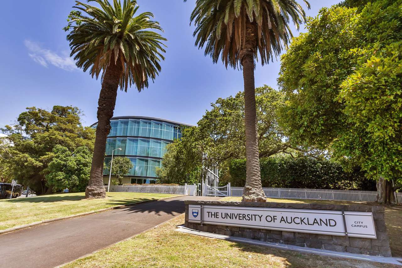 Grafton Auckland City 1010, Grafton, Auckland City Real Estate Ray White New Zealand