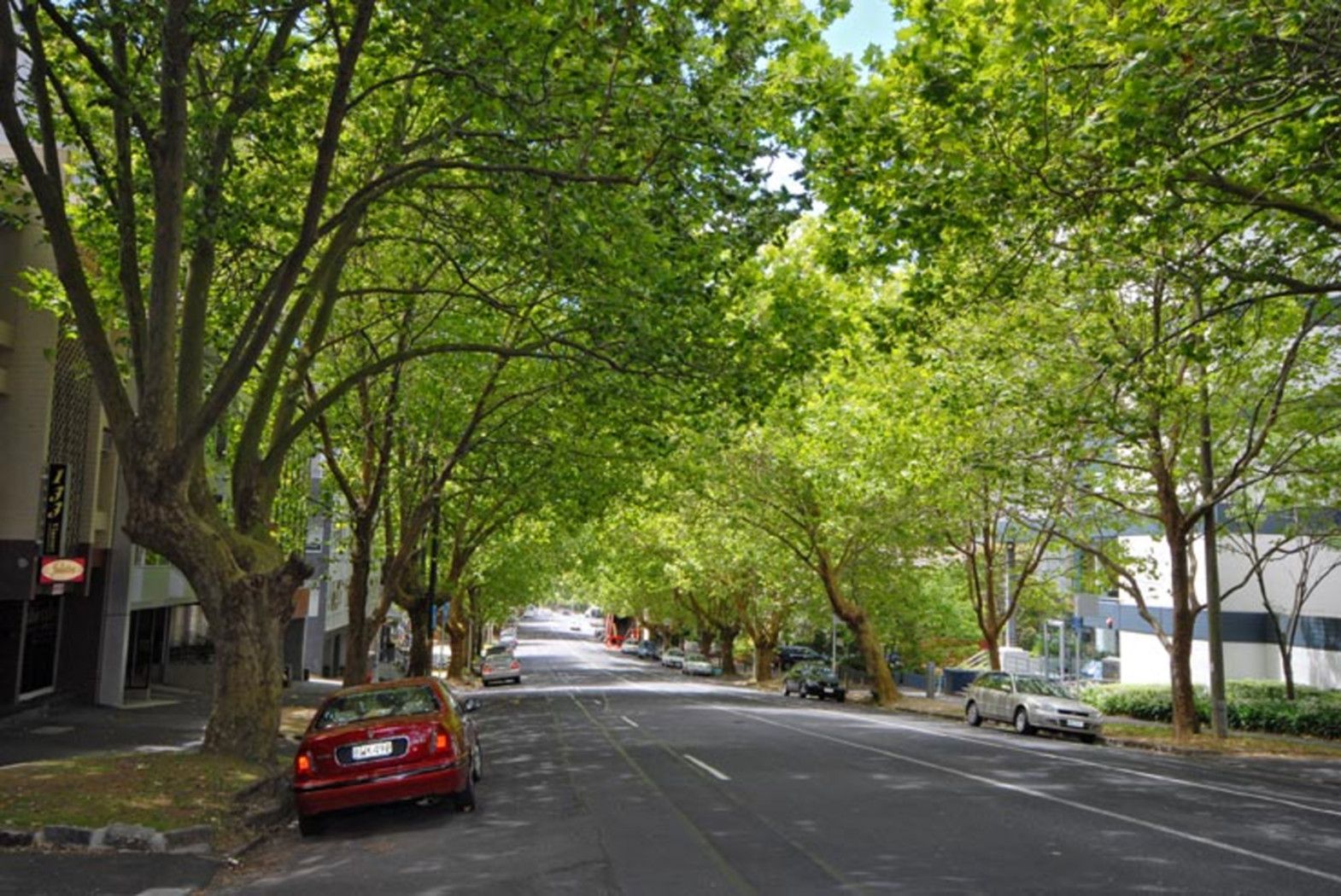 135 Vincent Street, Auckland Central, Auckland City