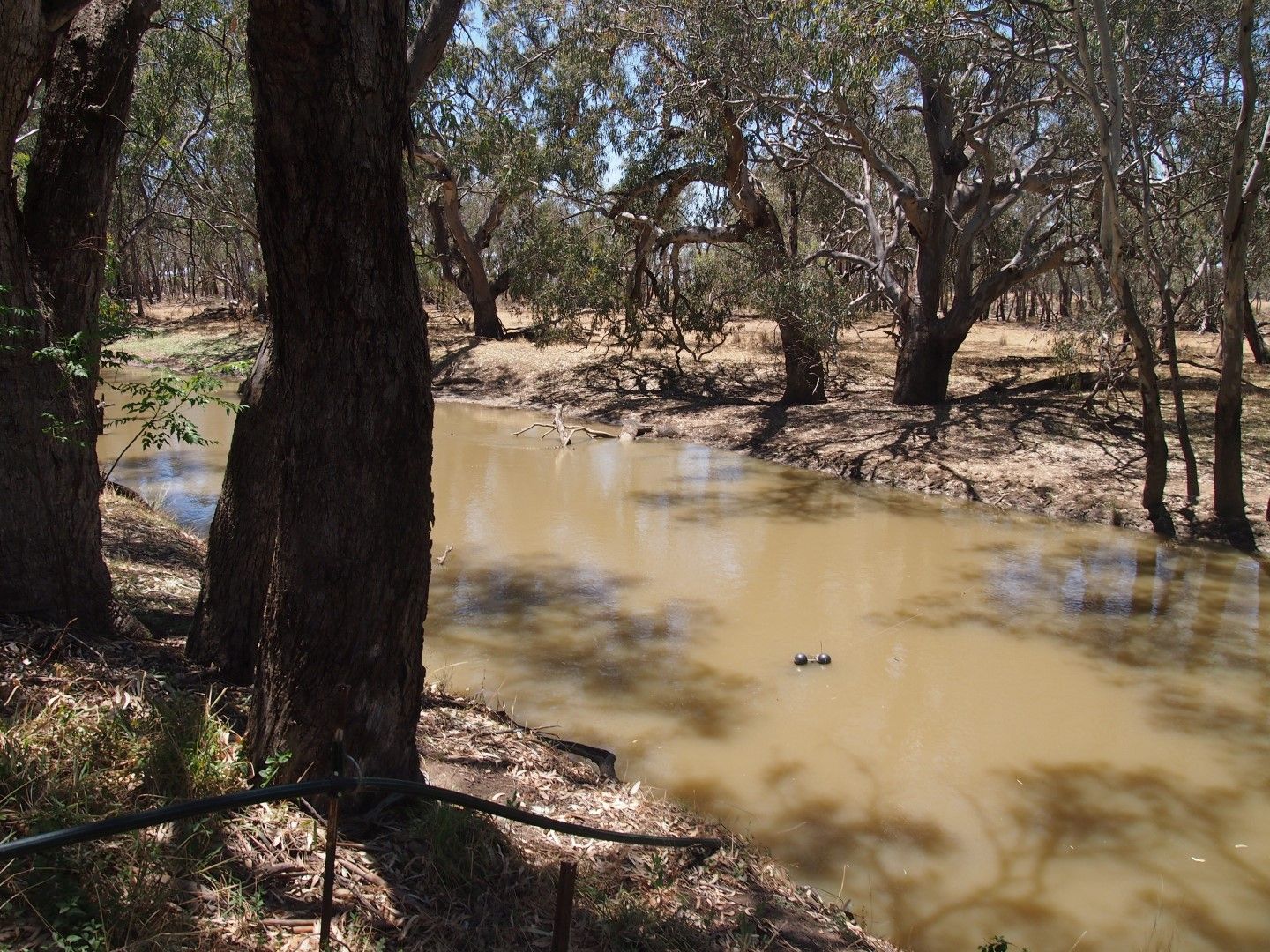 12 'Part Lemnos' North Forbes Road, Condobolin, NSW 2877
