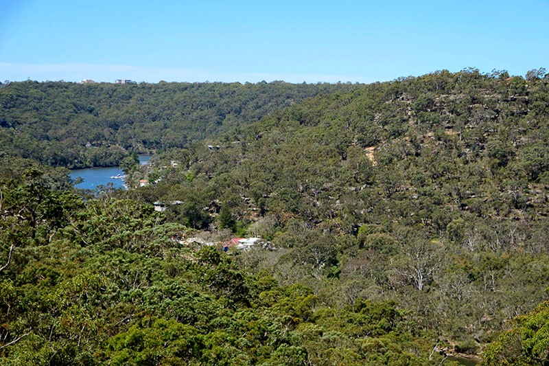 61 Dilkara Circuit, Bangor, NSW 2234