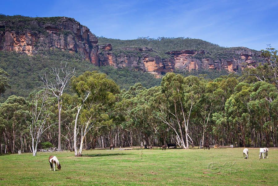 829 Megalong Road, Megalong, NSW 2785