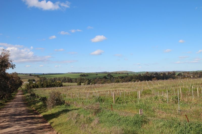 Lot 57 Dennis Road, Auburn, SA 5451