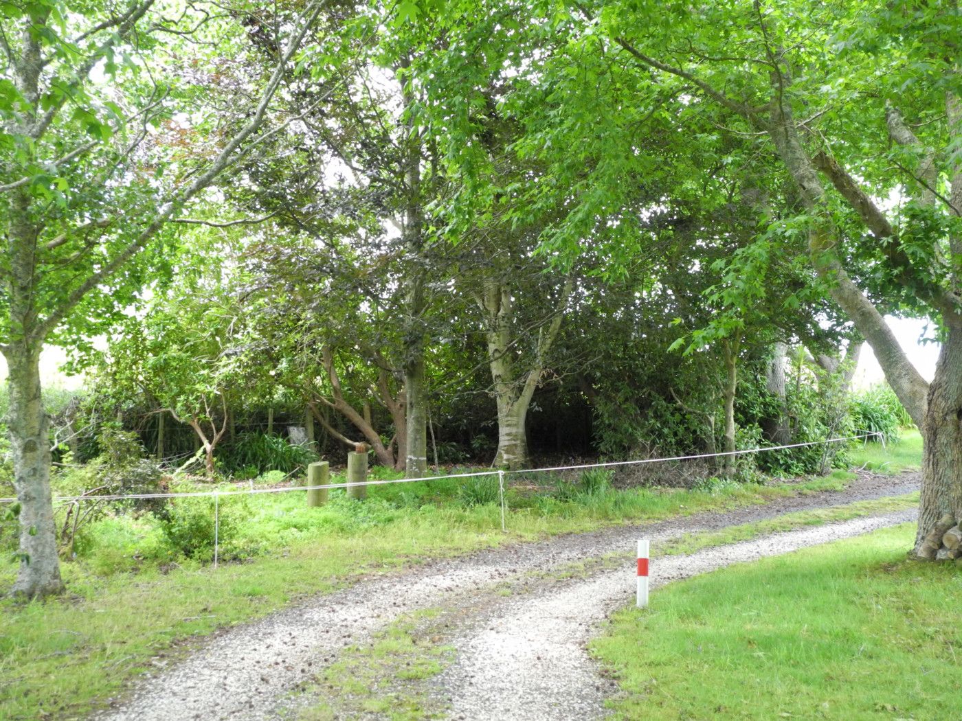 1164 Pokuru Road, Te Awamutu, Waipa District