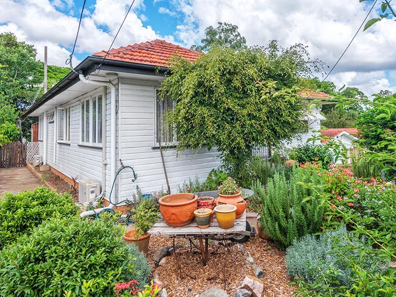 111 Wardell Street, Ashgrove, QLD 4060