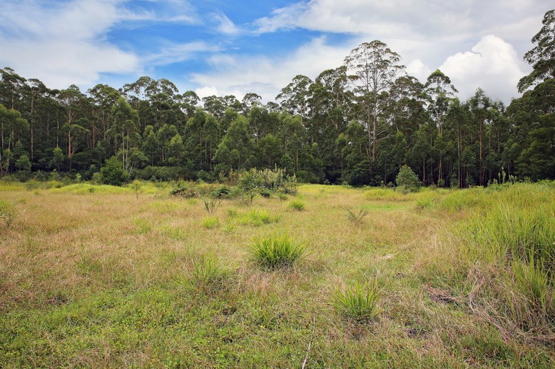 107 Battunga Drive, Tomerong, NSW 2540