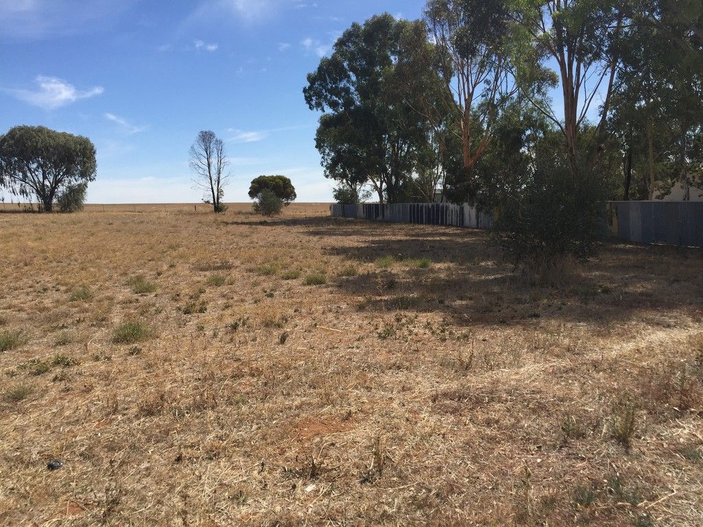Lot 618 and 619 Saddleworth Road, Auburn, SA 5451