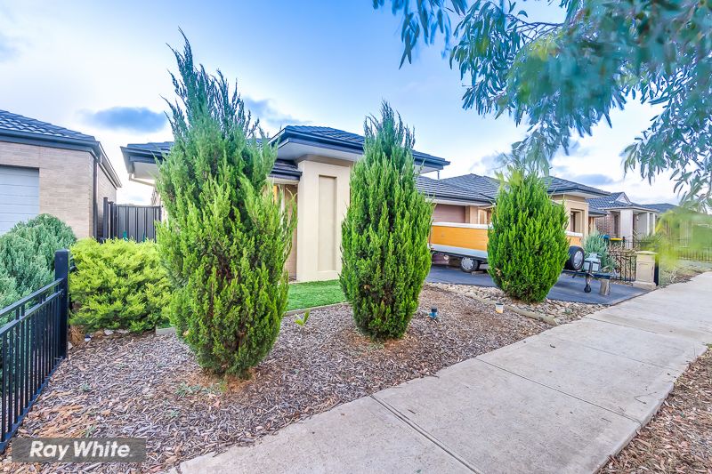 5 Calita Avenue, Tarneit, VIC 3029